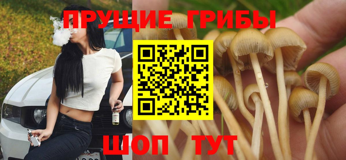 Саянск  Галлюциногенные грибы MAGIC MUSHROOMS  дарнет шоп  Вход с VPN 